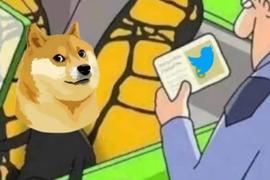 盘点Elon Musk历次喊单狗狗，涨势能持续多久？_DOG:WIFEDOGE