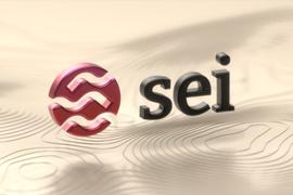 Delphi Digital：我们为什么看好Sei Network？_SIL:ERT