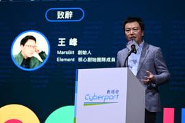 王峰香港Web3峰会演讲全文：NFT市场与Web3世界不可忽视的十大关系_SOL:WIZARD Vault (NFTX)