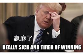 谢谢特朗普的NFT,给熊市带来这么多欢乐_NFT:TRUMPINU
