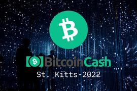 2022 BCH大会总结：过去一年BCH发生了哪些变化？_ASH:NER