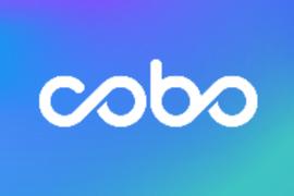 专访神鱼：危机过后的行业机会与Cobo的“新武器”_COB:WEB