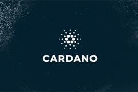 Cardano的DApp生态风起，Haskell会否是下一个「MOVE」？_CARD:Green Whale Challenge