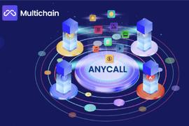 对话Multichain创始人：为什么Curve在一众消息跨链里选择了anyCall?_REN:区块链工程专业学什么