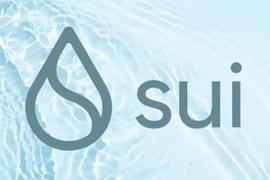 盘点新公链Sui上值得关注的生态项目_MOVE:Wallet Pay
