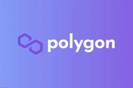 5个人就可影响超20亿美元资金？浅谈Polygon的中心化隐患_POLY:polygon币matic币投资机构