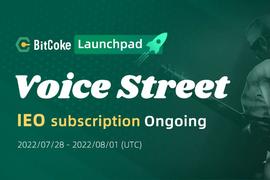熊市里的IEO：Voice Street在元宇宙玩转音乐NFT_ICE:Streamr DATAcoin