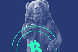CB Q2百页报告速览：熊市来临，VCs的投资状态如何？_CRYP:CRYPTO
