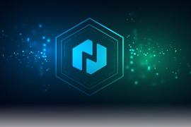 一文读懂新兴公链Decred-Next_NFT:TattooMoney