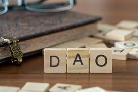 创始人自述：如何从零开始构建一个投资DAO？_TPS:DISC价格