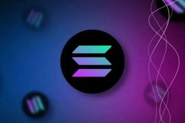 Solana上的NFT，红海中的「下沉市场」_OLA:SHIBANFT