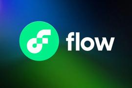 Messari报告：进入Flow区块链宇宙_FLO:DAPP