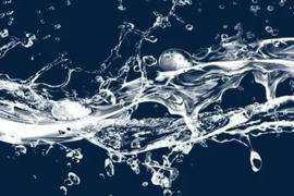 浅谈DAO的动态管理：流动的身份和声誉_DAO:MDIS