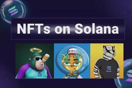 一文盘点Solana上的10大NFT蓝筹项目_SOL:DEG