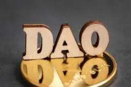 详解DAO的三种主要用例：如何实现组织结构的范式转变_DAO:LUNAPAD价格