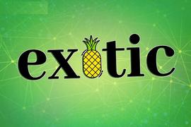 将投资策略化繁为简，Exotic Markets想成为“加密私人银行”_MIX:AMIX