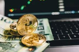 漫谈Crypto研究的三种心智模型：如何才能做出最佳决策？_NFT:NFTSOL价格