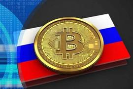 俄乌冲突中，Crypto未「加密」_加密货币:stepn币总量