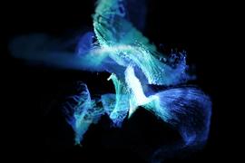 从第一性原理解读TreasureDAO，在Web3游戏中将扮演何种角色？_EDA:coinweb交易所合法吗