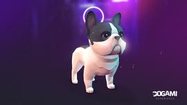 DOGAMí：育碧参投的NFT养狗元宇宙游戏_DOG:polydoge币未来潜力怎么样
