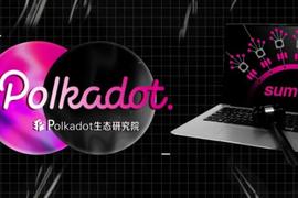 波卡首轮插槽拍卖落幕，5条平行链将会扮演什么角色？_ETH:polkadot钱包下载
