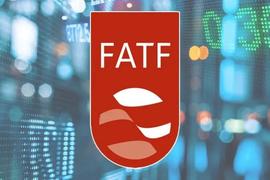 FATF 虚拟资产指南更新：DeFi、稳定币和自托管钱包_DEF:区块链