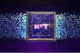 一文探讨NFT领域，波卡协议标准和主流类协议标准的区别_NFT:Safex Cash