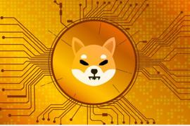 「上市Robinhood」谣言刺激 SHIB 大涨，Shiba Inu 真动作指向单独造链_NFT:SHIBA