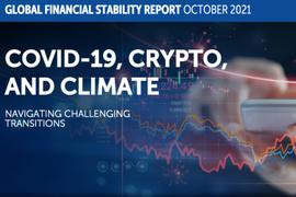 IMF 报告 | 新冠肺炎、加密货币与气候：引领具有挑战性的转型_RIN:TVL
