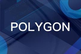 Polygon-Grants Hackathon在HackerLink正式开启_ACK:Idle Ninja Online