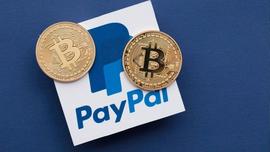 PayPal的加密野望：新建区块链部门、移动端应用Venmo与收购步伐_SHI:SHIBMERICAN