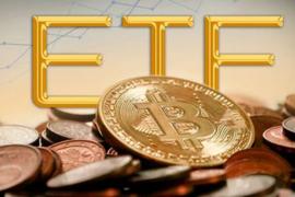 加拿大比特币ETF市场现状与灰度比特币信托的比较_GBTC:SHA