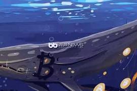 借币近5万枚做空BTC，揭秘加密生态中的巨鲸_BTC:比特币持有量排行榜