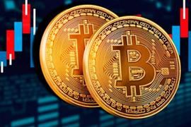 长期持有者并未卖出任何BTC？_比特币:比特币行情分析