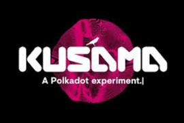 Kusama插槽竞拍角逐赛，平行链间竞拍优势对比_KSM:Avakus