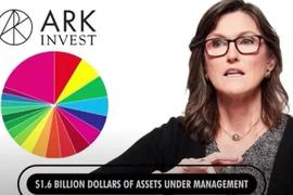 7亿美元逆势建仓比特币、COIN股票，如何解读ARK基金的加密投资动作？_ARK:nbai币价格