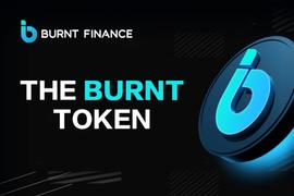 BURNT 通证介绍_BURN:Ouro Governance Share