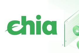 Chia 凭什么与比特币进行绿色 battle_CHI:Chintai