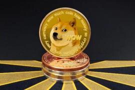 SHIB（柴犬币）一月涨幅数百倍，百倍币需具备哪些核心要素？_SHI:数字货币
