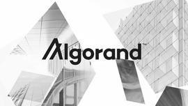 公链大内卷，Algorand向外生长_LGO:algorand币种
