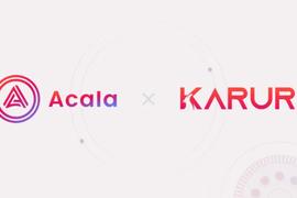 Acala & Karura 经济模型须知与防指南_ACA:ALA