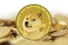解读狗狗币（DOGE）暴涨的背后力量_狗狗币:COI