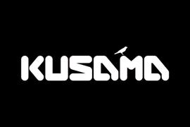 Kusama插槽拍卖前夜，如何深度参与波卡生态？_POLK:KUS