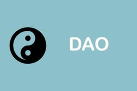 一文读懂DAO治理_BTC:区块链