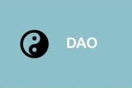激活个体力量，区块链 DAO 架构给加密货币基金一个弯道超车的机会_NFT:dogenft