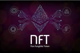 7个NFT平台的对比_NFT:Crypto Birds