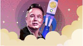 受埃隆效应影响，比特币正更广泛地被接受为金融资产_马斯克:doge币最新消息马斯克