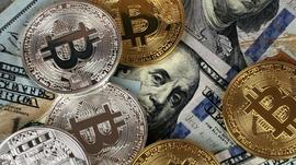 KingData：交易所平台币销毁对价格影响真的大吗?_NFT:Diamond Hands Token