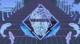 NFT巨鲸玩家WhaleShark科普：影响力人士的NFT使用指南_NFT:INT