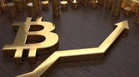 威廉：我将开始不推荐小散户买比特币_比特币:BTC